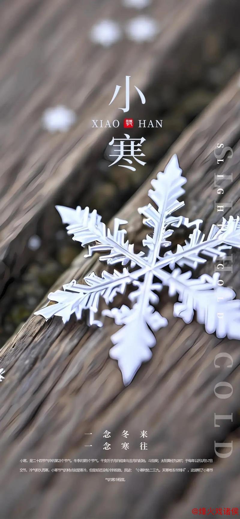 小寒:年终寒意浓,静候春来临 小寒:年终寒意浓,静候春来临