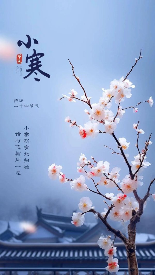 皇冠足球网 小寒：年终寒意浓，静候春来临