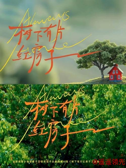 小说：从普通人到篮坛野兽，退役时他笑谈：我只不过很努力