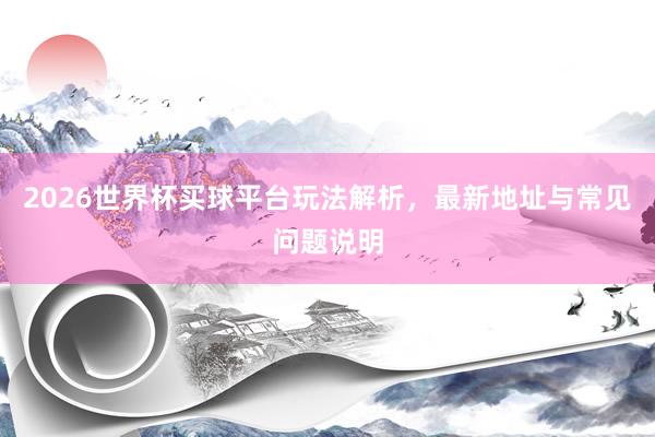 2026世界杯买球平台玩法解析，最新地址与常见问题说明