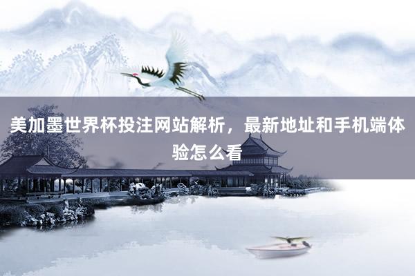 美加墨世界杯投注网站解析，最新地址和手机端体验怎么看